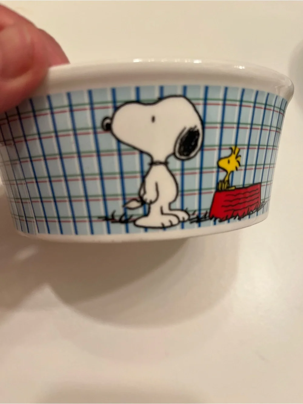 Peanuts Snoopy & Woodstock Ceramic Dog Bowls - White